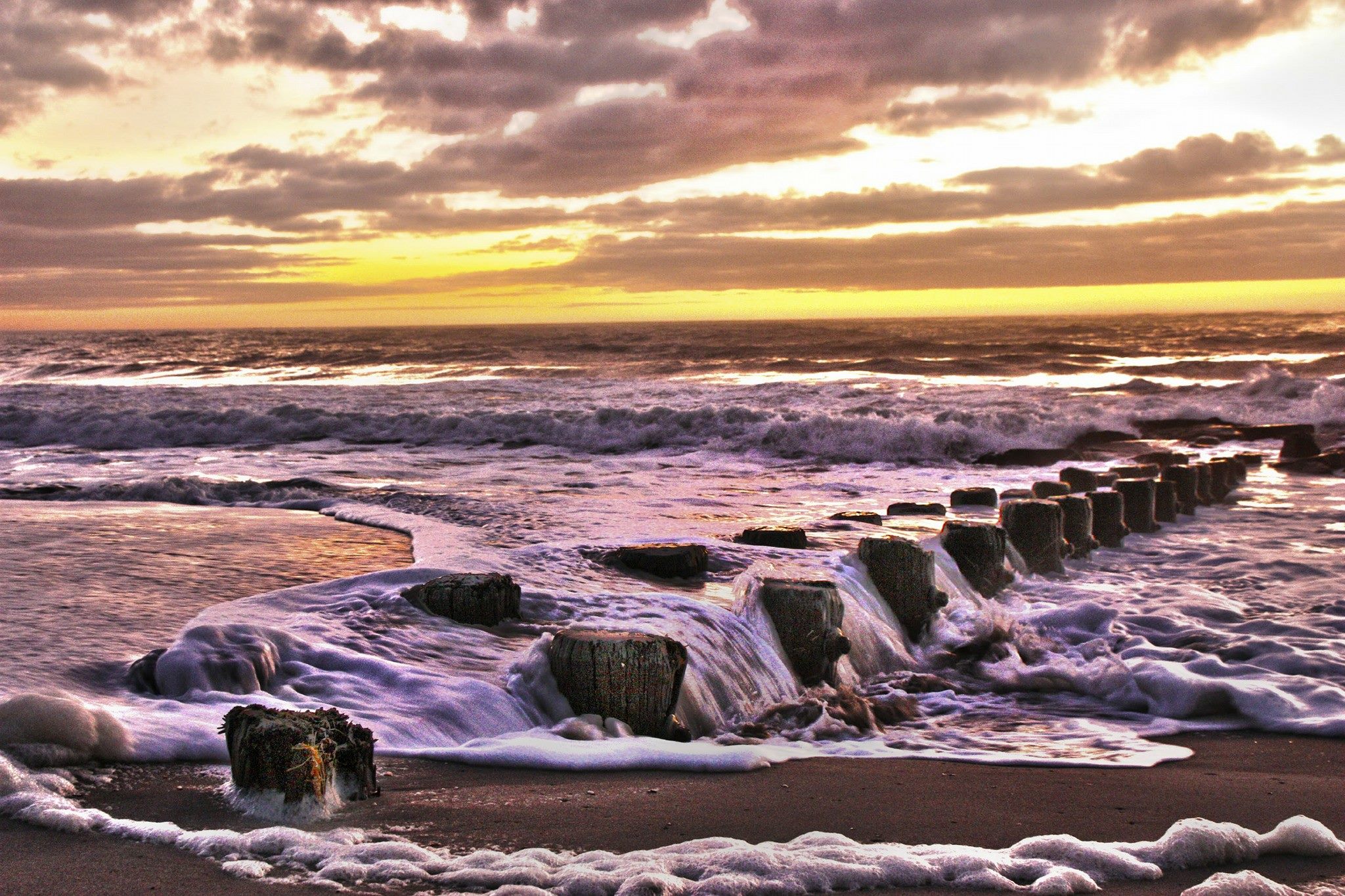 1/2 Price Movers NJ logo