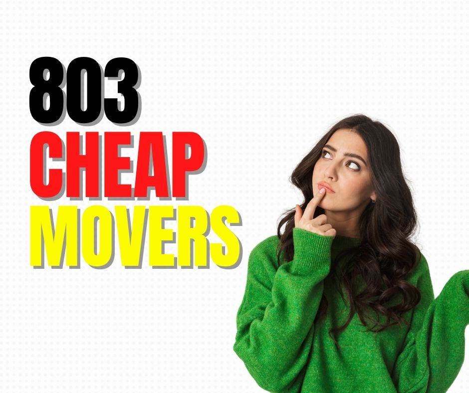 803 Cheap Movers, Junk Removal And Handyman (Toilet Replacements and Garage Motors) image 3