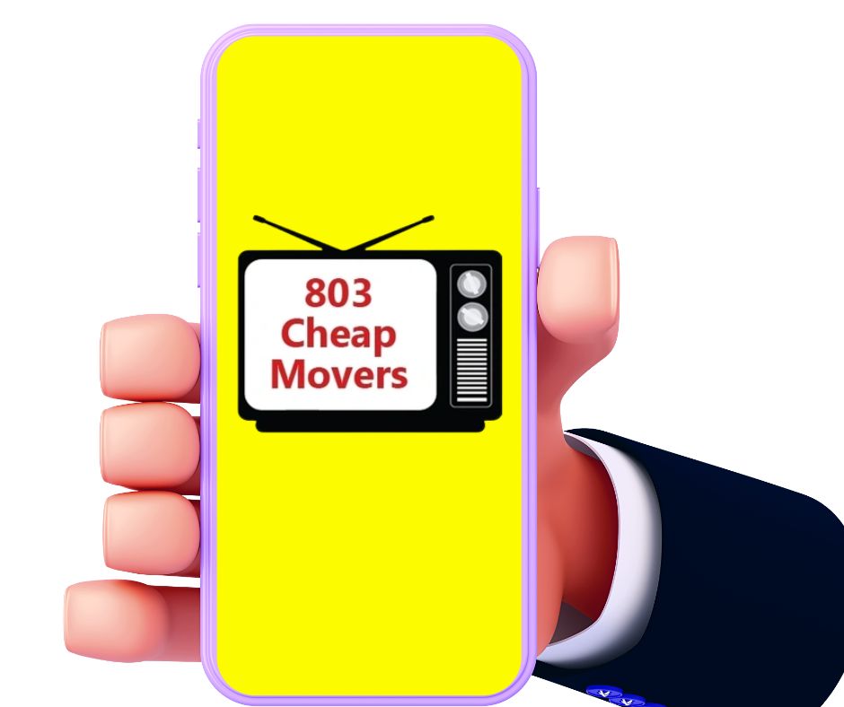 803 Cheap Movers, Junk Removal And Handyman (Toilet Replacements and Garage Motors) image 2