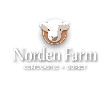 AB Transport Removals & Storage Ltd image 4