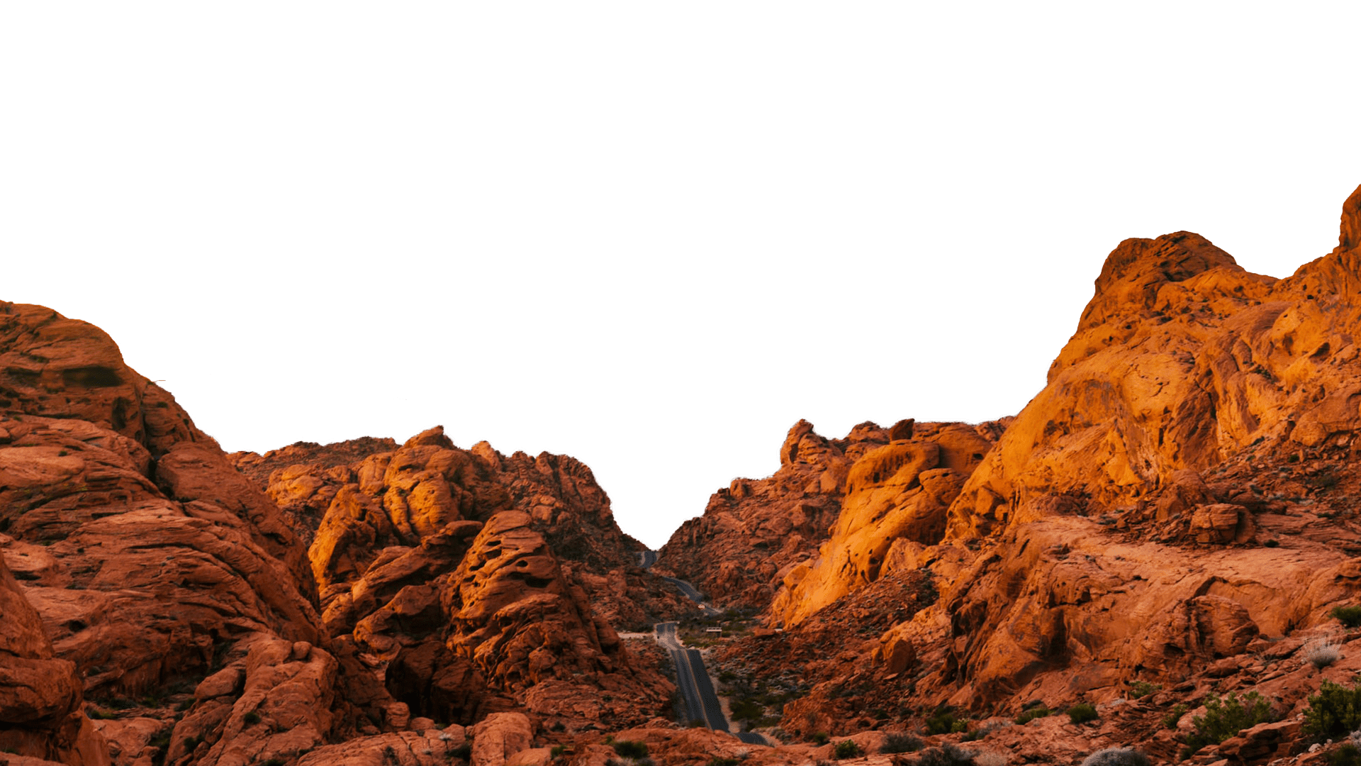 All Out Movers LLC logo