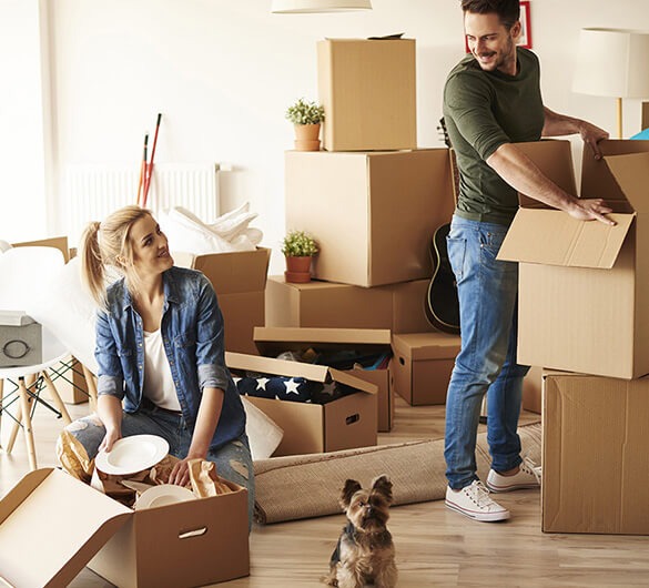 Alpine Moving And Storage image 1