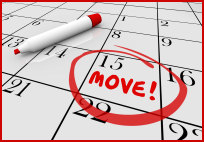 AMC Removals image 2