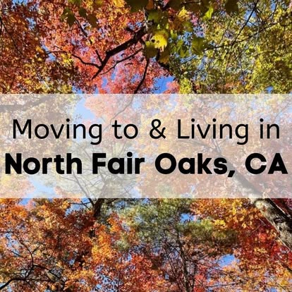 AMS Bekins - Bay Area Movers image 2