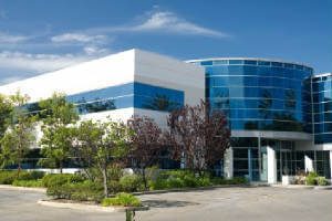 Apple Movers image 3