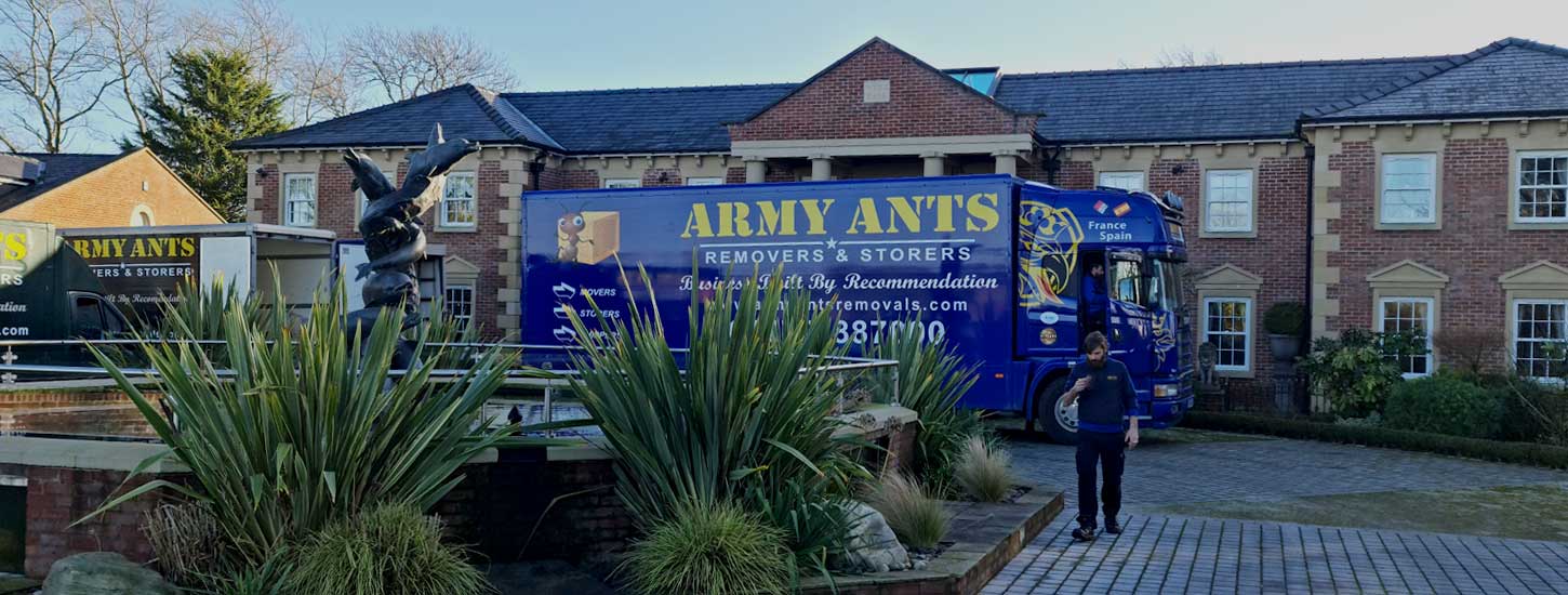Army Ants Removals & Storage image 4