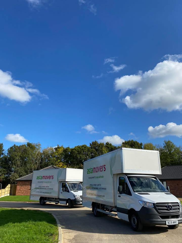 Asta Movers Removals logo