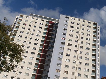 AVUS Removals image 4