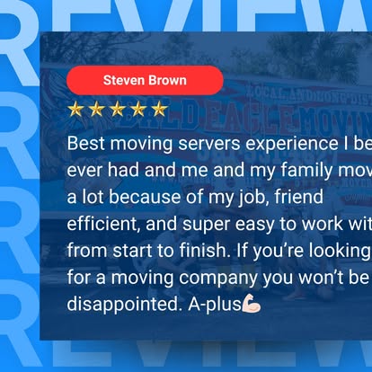 Bald Eagle Moving image 1