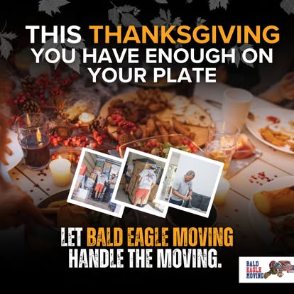 Bald Eagle Moving image 3