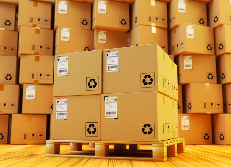 Bedoya Moving image 4