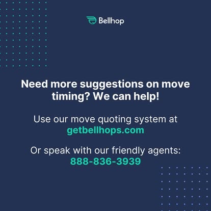 Bellhop Denver Movers image 1