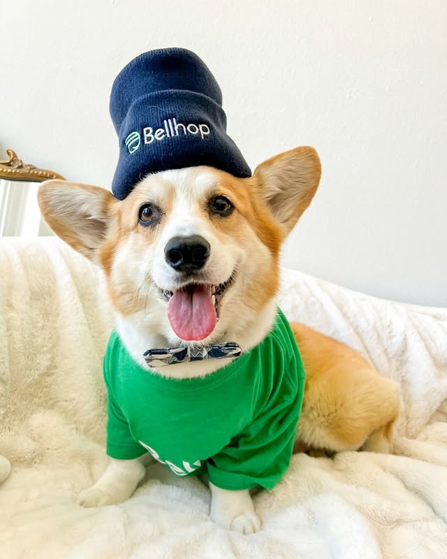 Bellhop Moving image 1