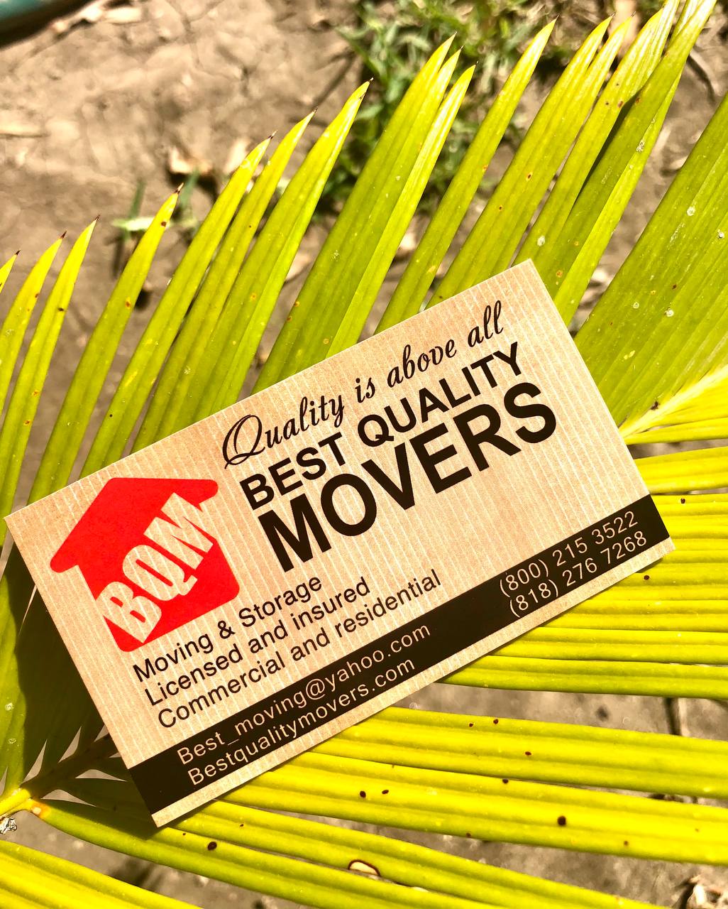 Best Quality Movers logo