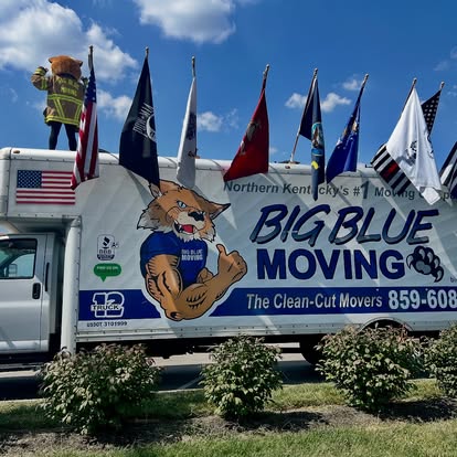 Big Blue Moving image 4