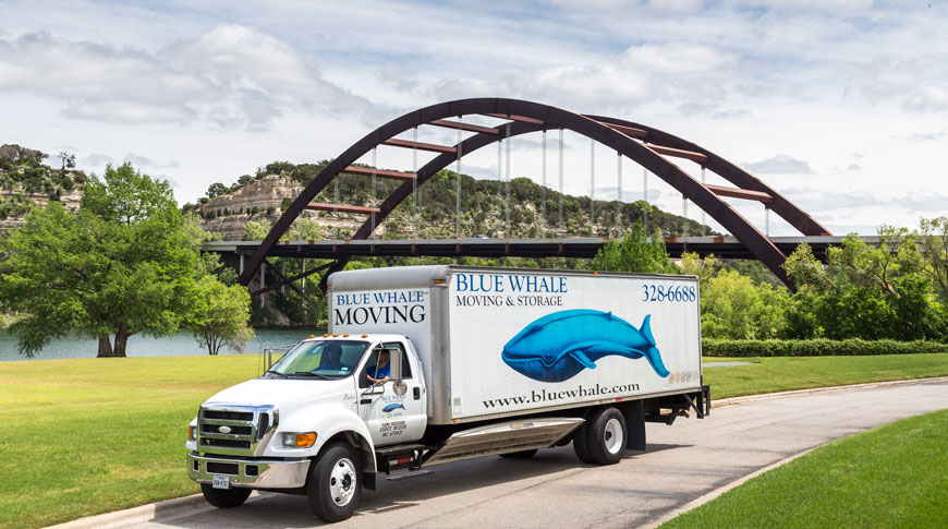 Blue Whale Moving Company - Austin logo