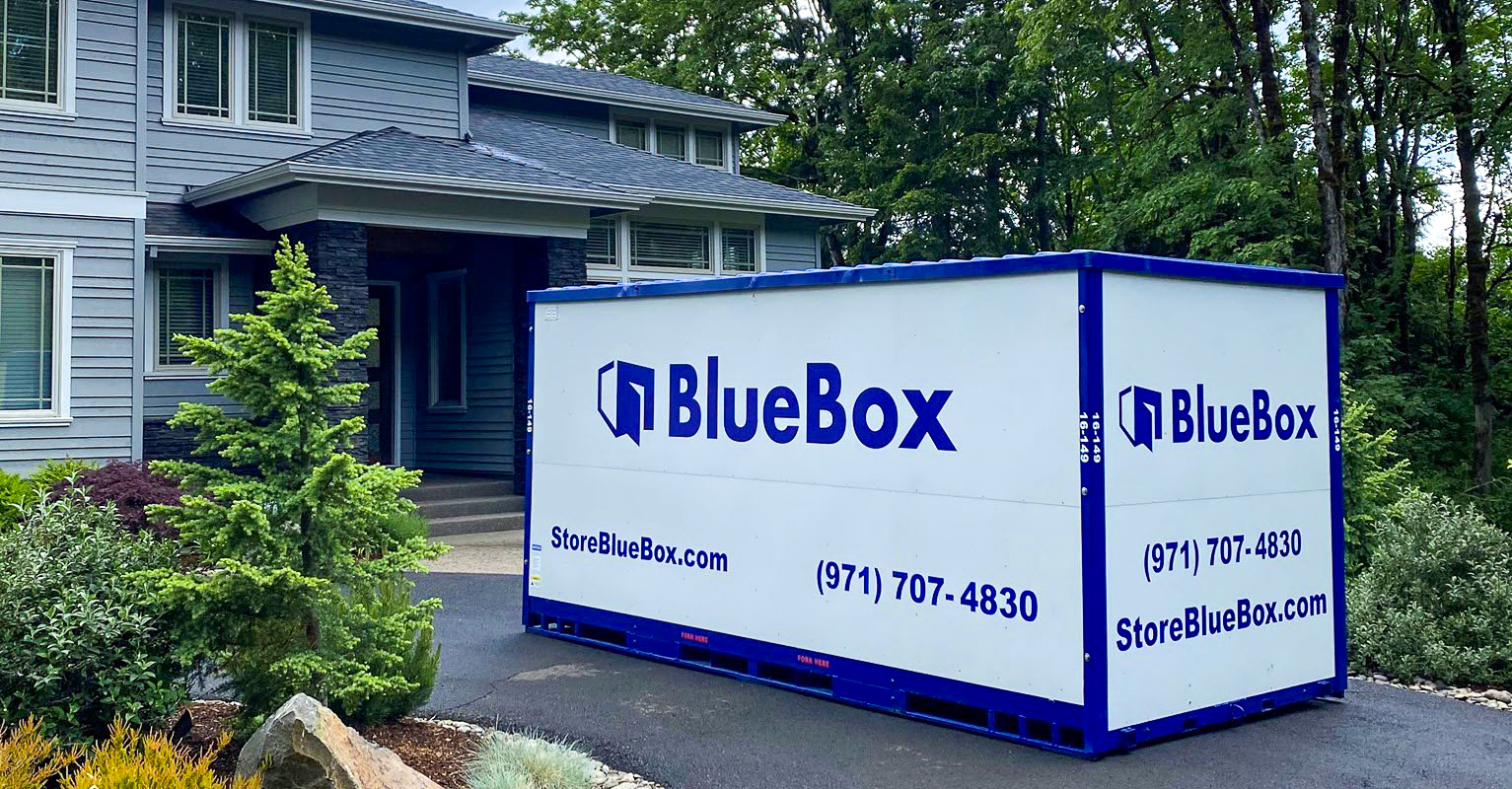 BlueBox Storage logo
