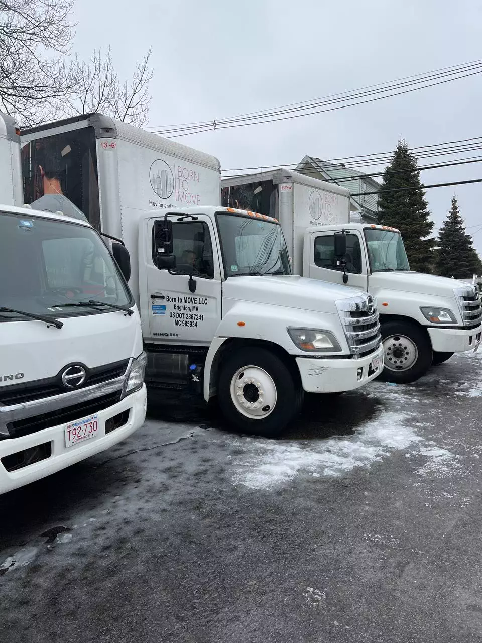 𝗕𝗼𝗿𝗻 𝘁𝗼 𝗠𝗼𝘃𝗲 𝗟𝗔 image 3