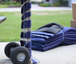 Bright Eyed Moving image 1