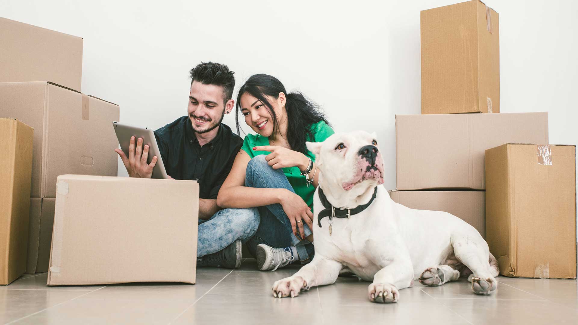 Buckleys Removals and Storage Manchester logo