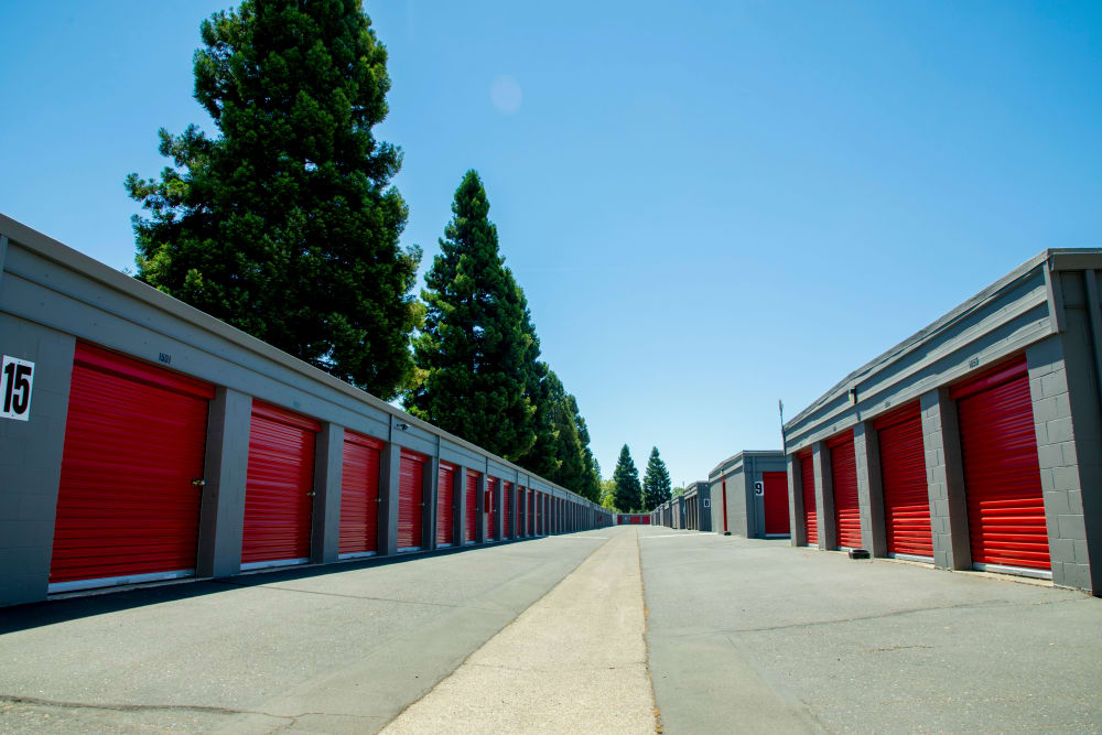 BuxBear Storage Santa Rosa image 4