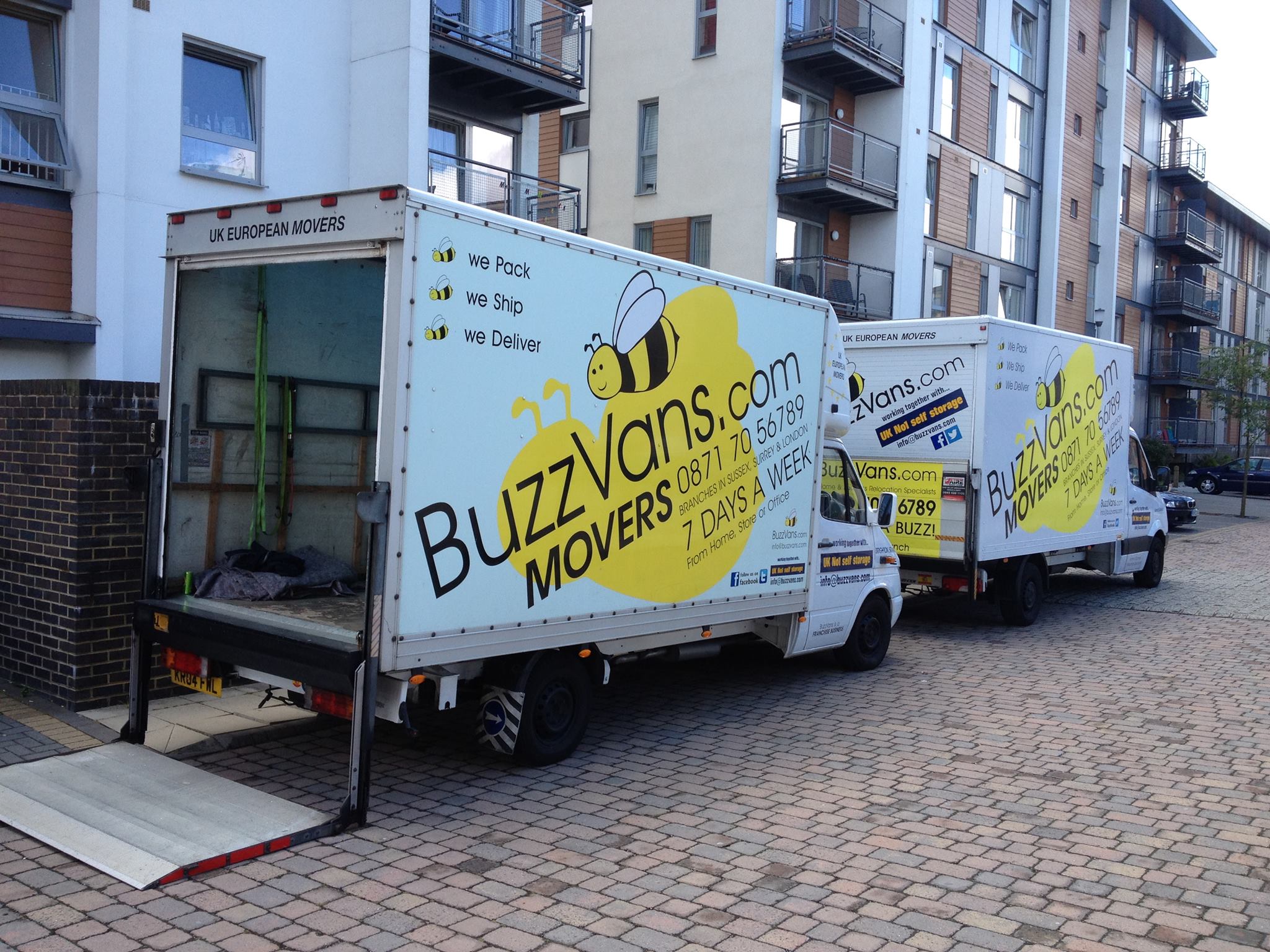 BuzzVans Movers & Storage logo