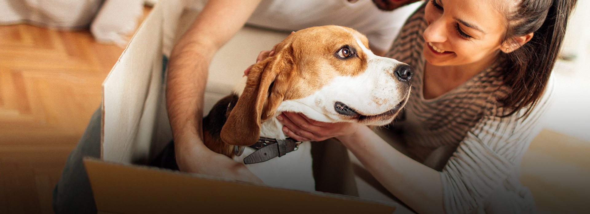 Careline Moving and Storage image 2