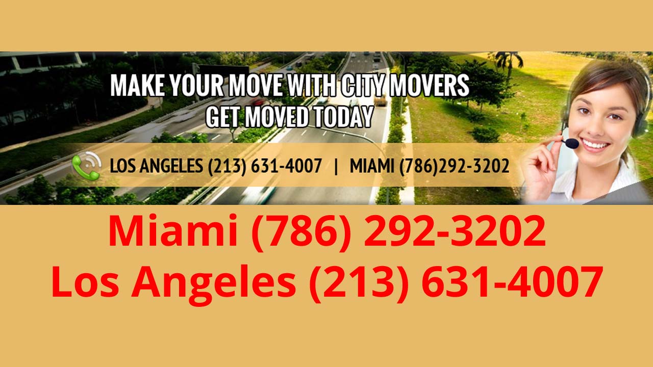 City Movers Hallandale Beach image 2