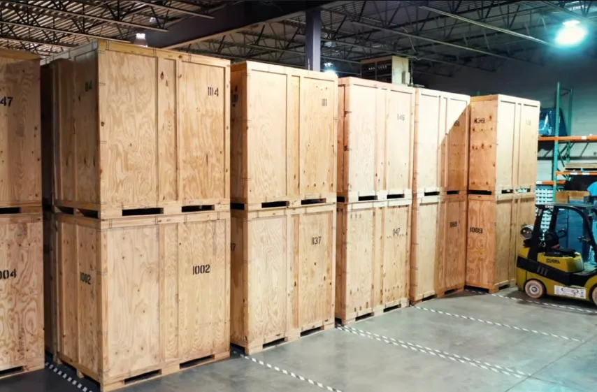 College Muscle Movers image 3