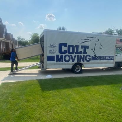 Colt Moving image 4