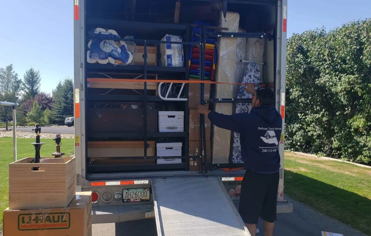 Delicate Touch Moving image 3