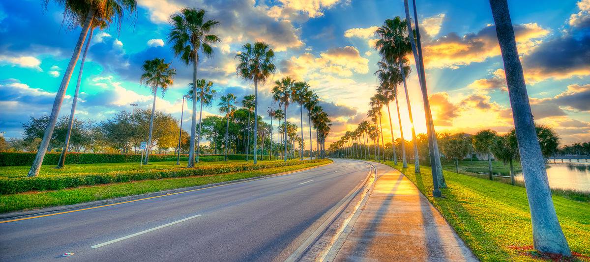 Dixie Movers image 2