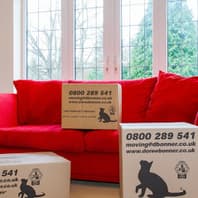 Doree Bonner International logo