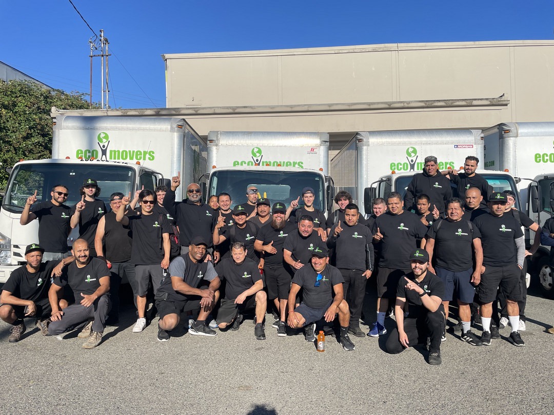 Eco Movers Moving & Storage Bellevue Movers image 4