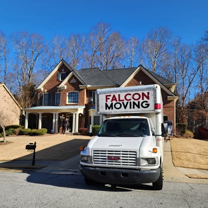 Falcon Moving image 1