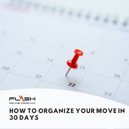 Flash Moving & Storage image 4