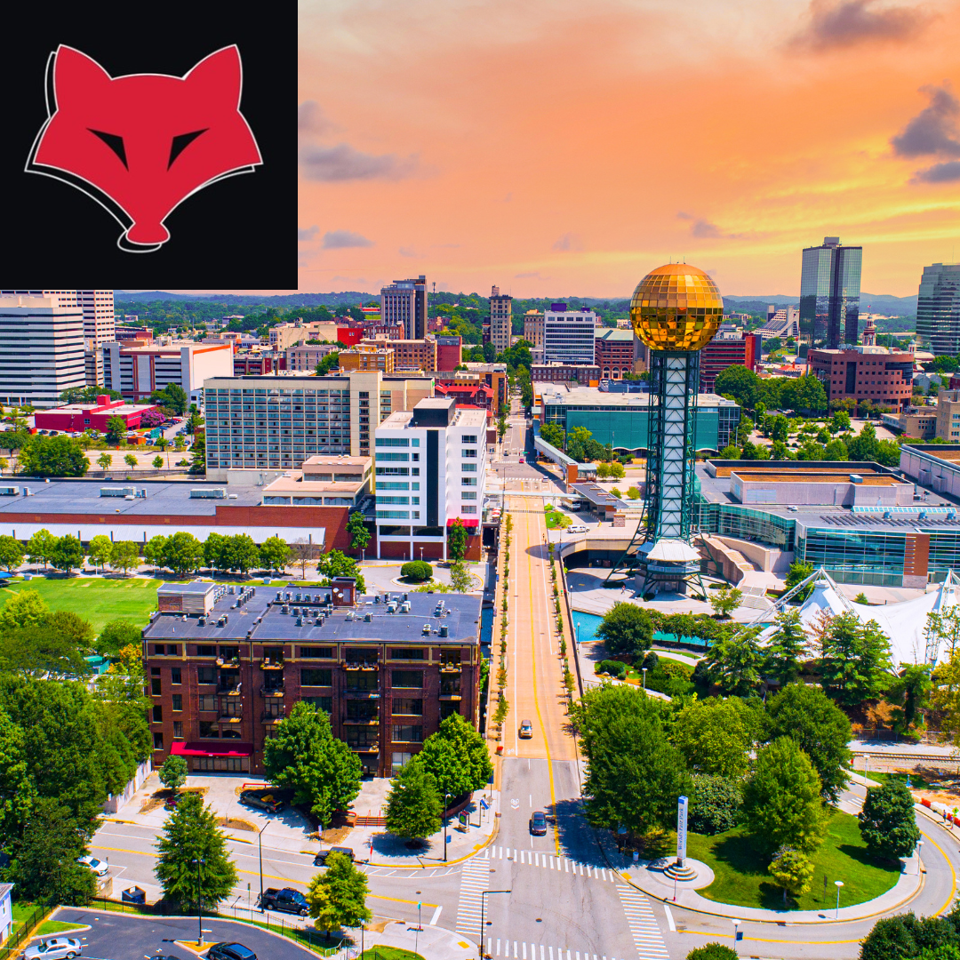 Fox Moving and Storage image 3