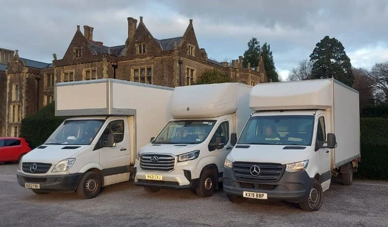 gibbons-removals image 2