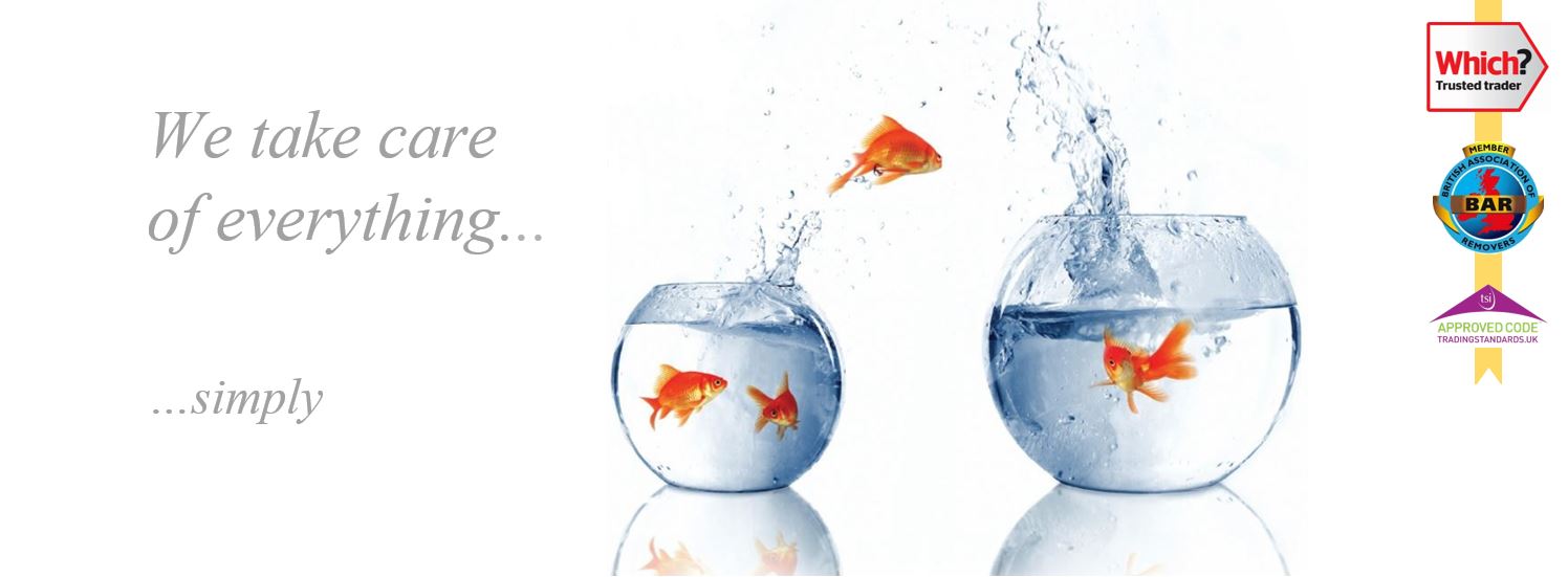 Greens Removals & Storage Ltd Chelmsford image 1