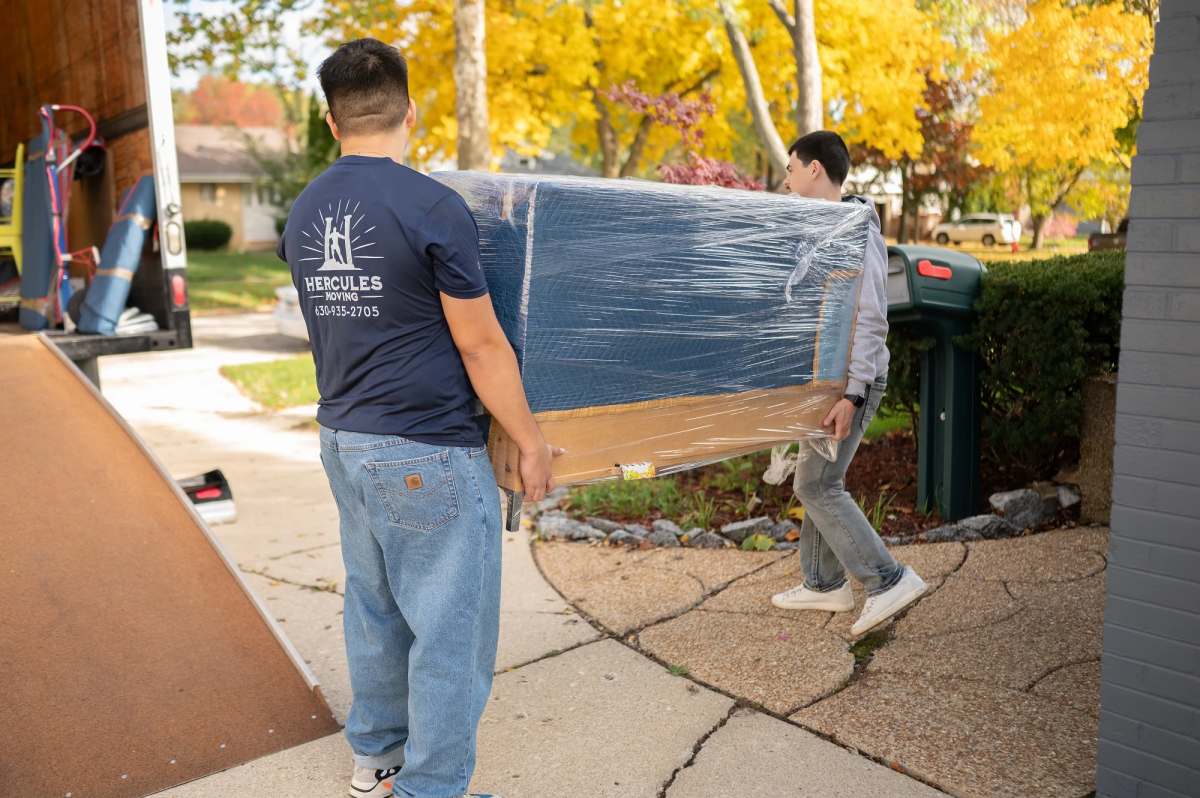 Hercules Moving image 2