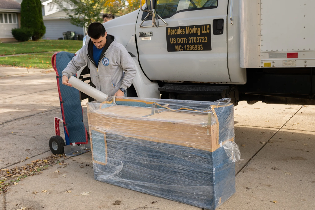 Hercules Moving image 3