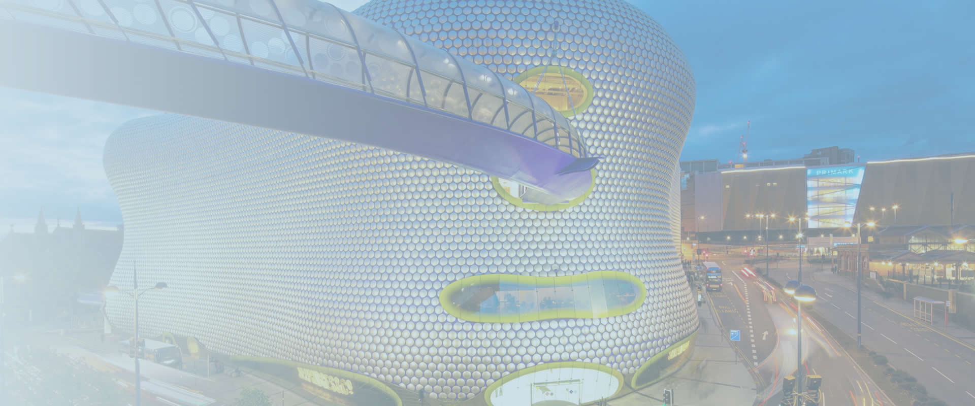 IMG Removals image 2