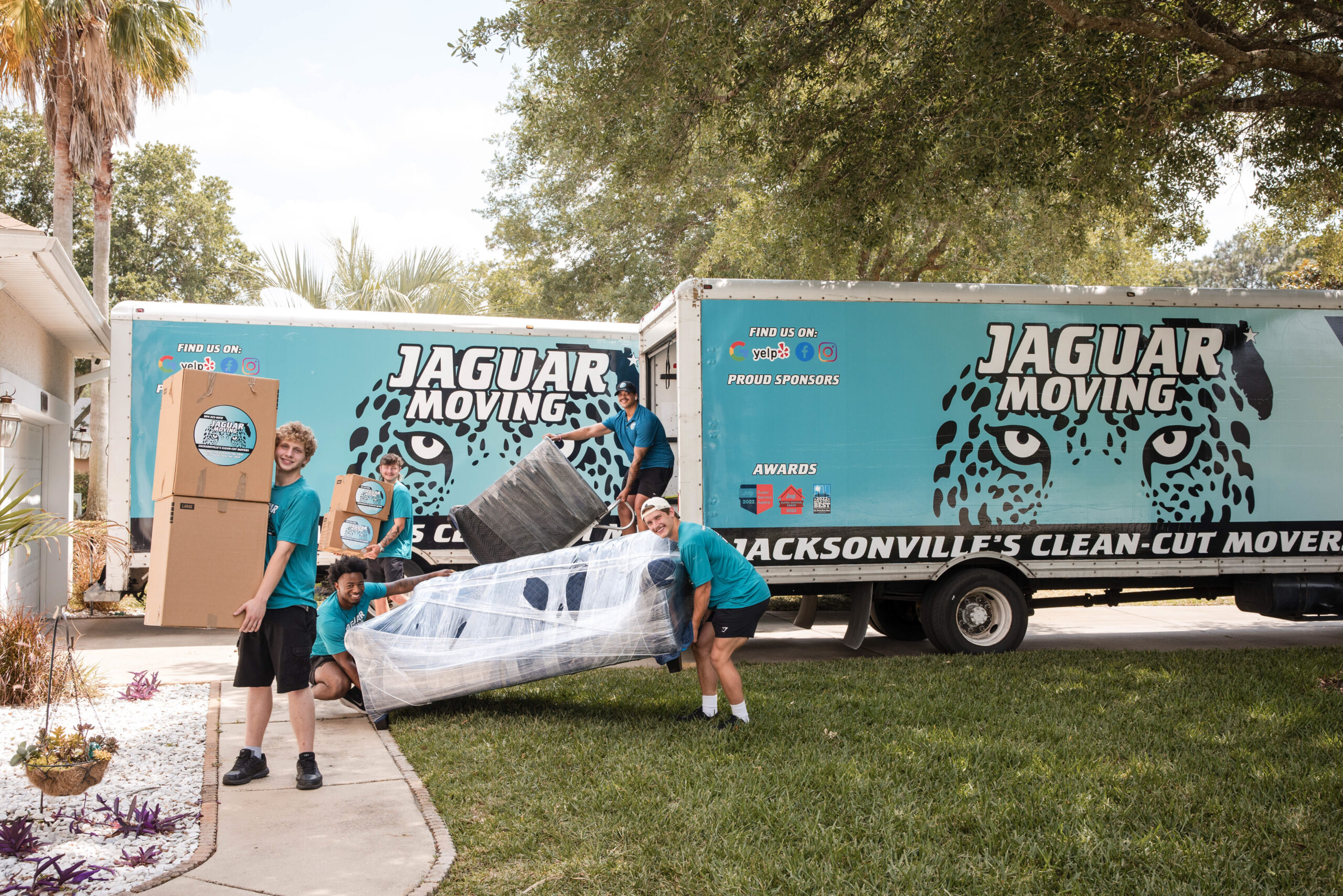 Jaguar Moving image 1