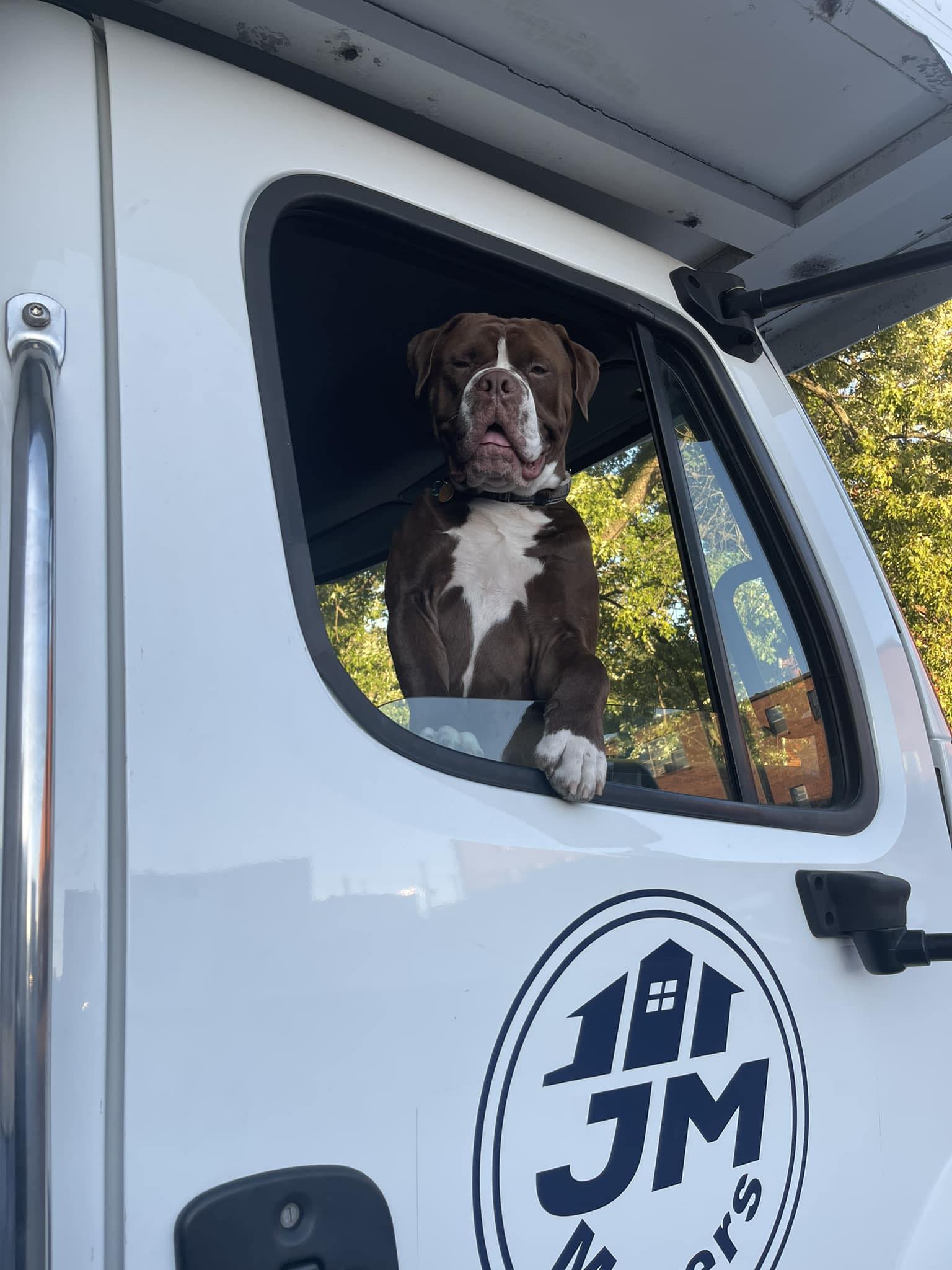 JM Movers Full Service - Local & Long Distance & storage logo