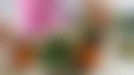 JOEL REMOVALS image 4