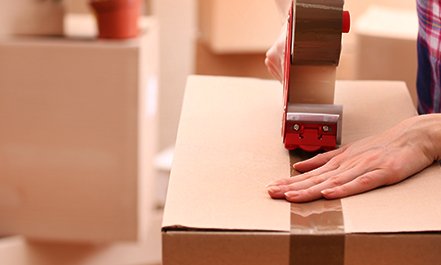 Karma Movers St Petersburg FL image 3