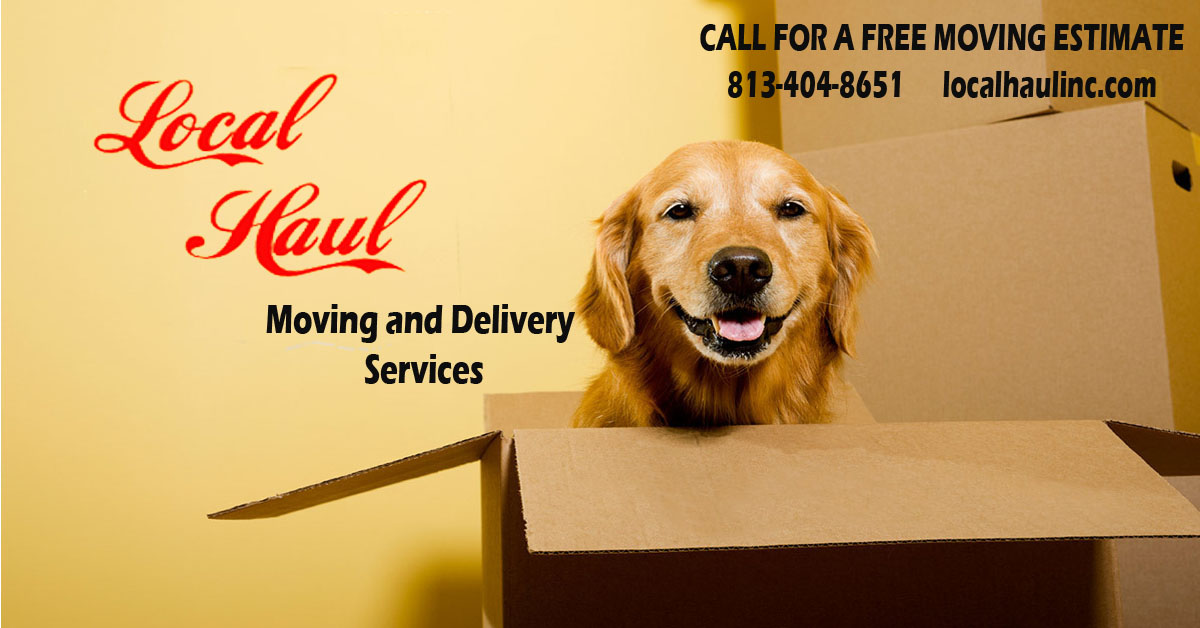 LOCAL HAUL COURIER/NOTARY logo