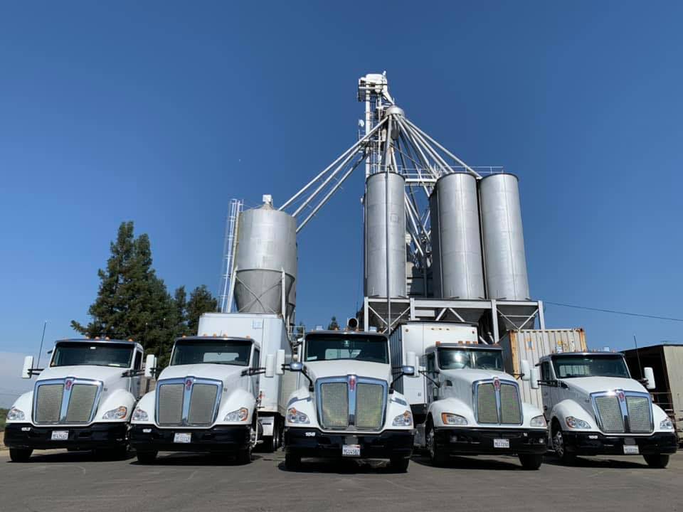 Lopes Trucking Services logo