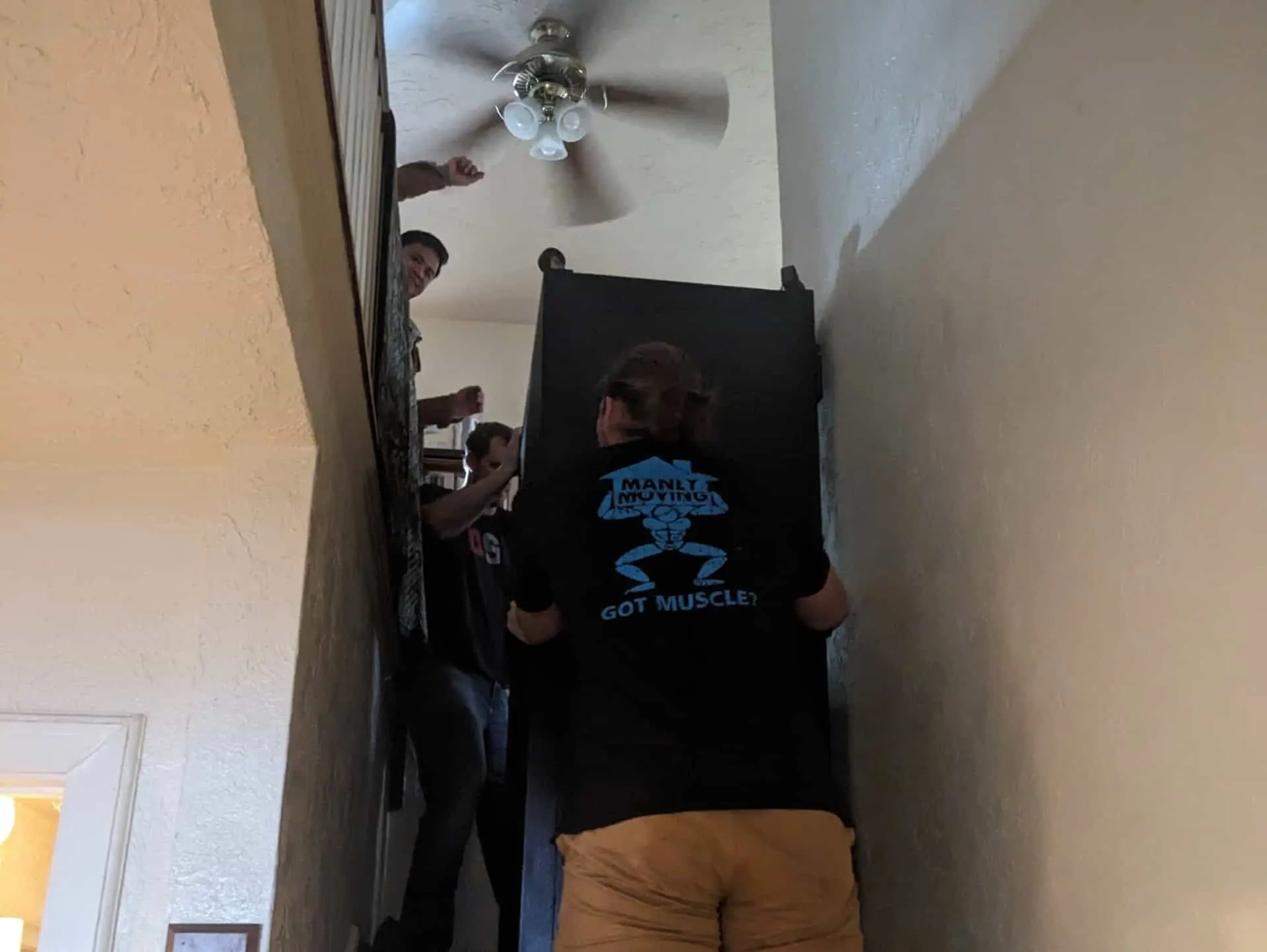 Manly Moving image 3