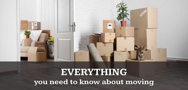 Marrins' Moving image 3